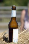 2019 &raquo; Aufbau Beachparty