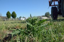 2019 &raquo; Aufbau Beachparty