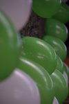 2019 &raquo; Aufbau Königsball