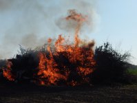 2019 &raquo; Osterfeuer
