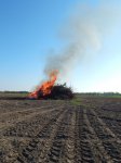 2019 &raquo; Osterfeuer