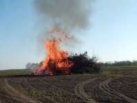 2019 &raquo; Osterfeuer