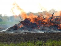 2019 &raquo; Osterfeuer
