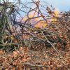2024 &raquo; 03 31 Osterfeuer