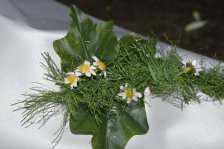 2015 &raquo; Schützenfest &raquo; 13. Juni 2015